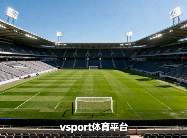 足球场地与球场设施全景，vsport体育平台介绍配图