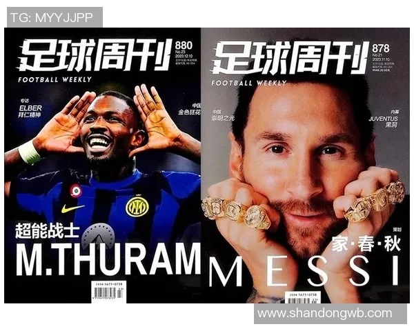 武汉足球队运营分析：成功经验与失误教训的深度剖析