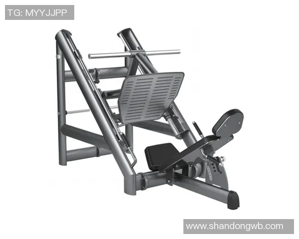 跳舞健身器材推荐：有趣的舞蹈类健身器械