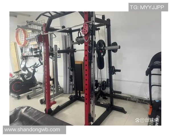 附近哪里有健身器材卖?本地健身器材商店指南