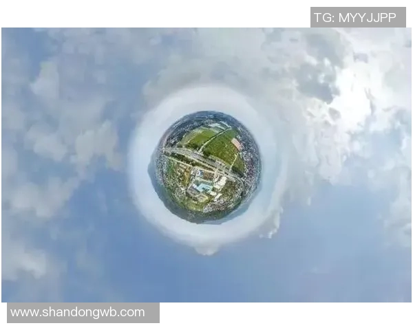 重庆篮球队的崛起与挑战全景揭秘篮球巨献的背后故事